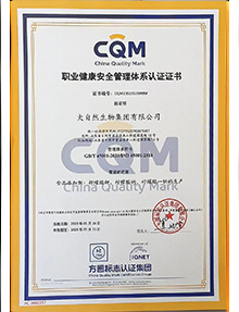 職業(yè)健康安全管理體系中文